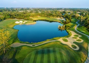 71585426_1681040338695334_4923905745432346624_n